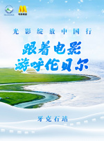 热@国产